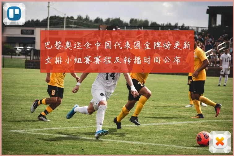 巴黎奥运会中国代表团金牌榜更新女排小组赛赛程及转播时间公布