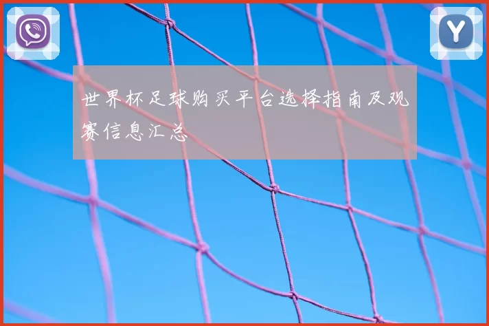 世界杯足球购买平台选择指南及观赛信息汇总