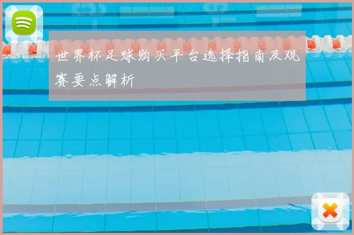 世界杯足球购买平台选择指南及观赛要点解析