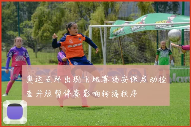 奥运五环出现飞蛾赛场安保启动检查并短暂停赛影响转播秩序