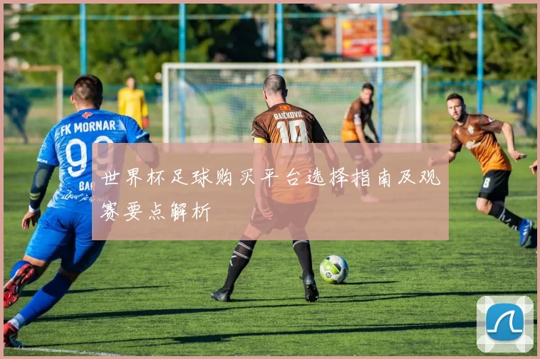 世界杯足球购买平台选择指南及观赛要点解析