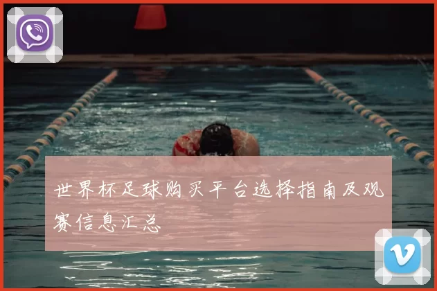 世界杯足球购买平台选择指南及观赛信息汇总