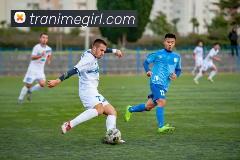 数据防护可视化